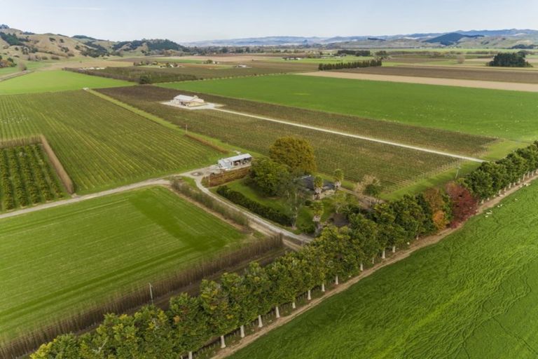 Photo of property in 144 Ngakoroa Road, Ormond, Gisborne, 4071