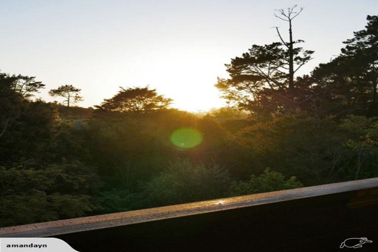 Photo of property in 11 San Pedro Place, Henderson, Auckland, 0612