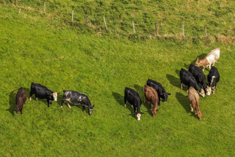 Photo of property in 54 Thorn Road, Waihi, 3610