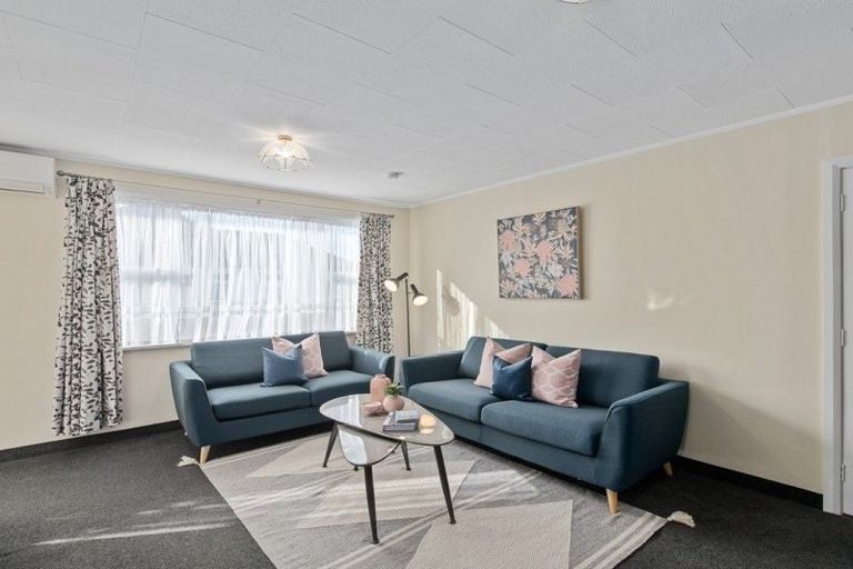 Photo of property in 45 Winchester Street, Levin, 5510
