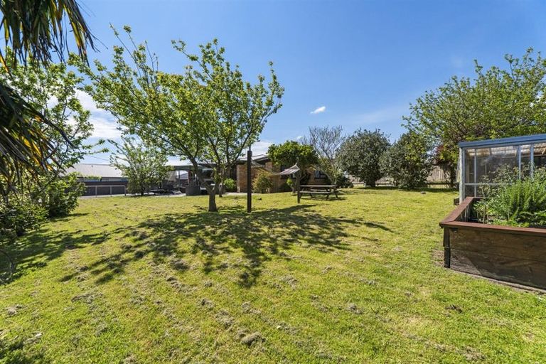 Photo of property in 20 Lee Street, Te Puke, 3119