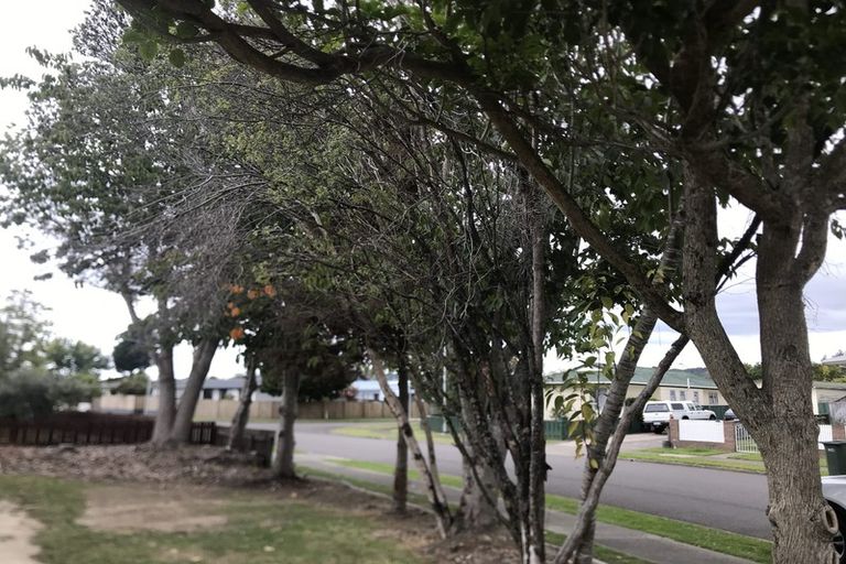 Photo of property in 10 Farnworth Crescent, Whakatane, 3120