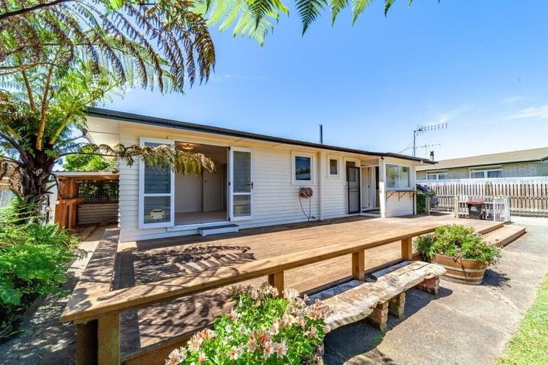 Photo of property in 36 Upham Street, Havelock North, 4130