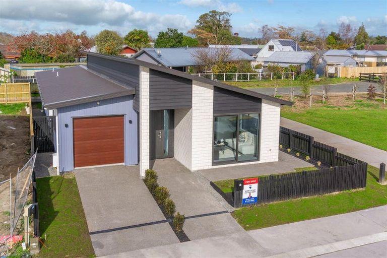 Photo of property in 11 Earp Crescent, Chartwell, 3210