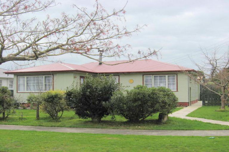 Photo of property in 50 Graham Street, Levin, 5510