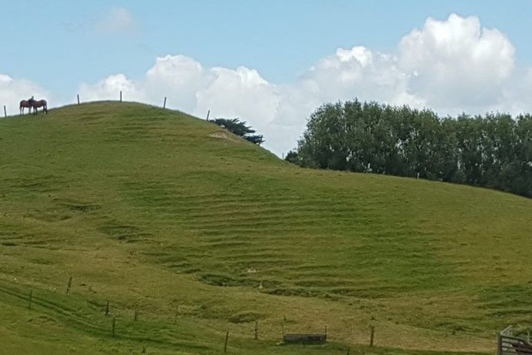 Photo of property in 117 Kaiwaka-mangawhai Road, Kaiwaka, Wellsford, 0975