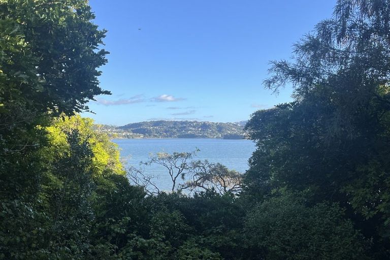 Photo of property in 325 Grays Road, Pauatahanui, Porirua, 5381