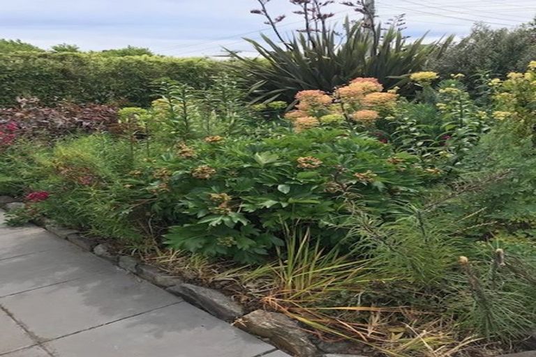 Photo of property in 16 Conway Street, Somerfield, Christchurch, 8024