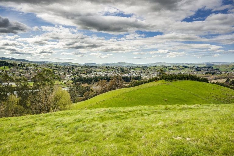 Photo of property in 226 Ongaonga Road, Waipawa, 4272