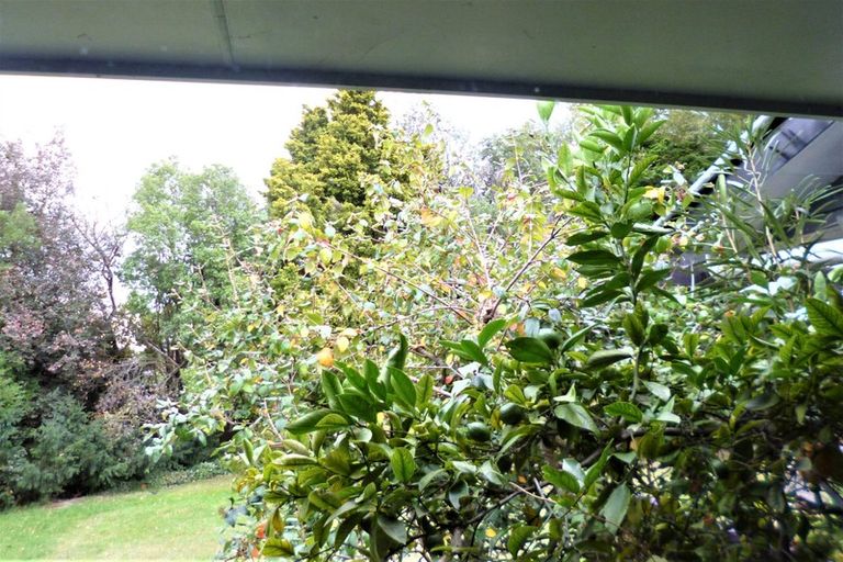Photo of property in 27b Studholme Street, Somerfield, Christchurch, 8024