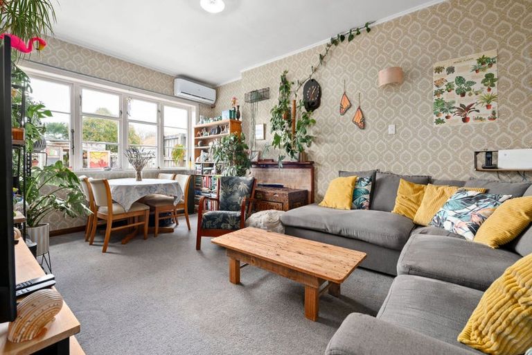 Photo of property in 19 Plunket Terrace, Hamilton East, Hamilton, 3216