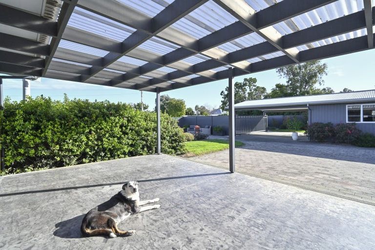 Photo of property in 34 Mcelwee Street, Jervoistown, Napier, 4112