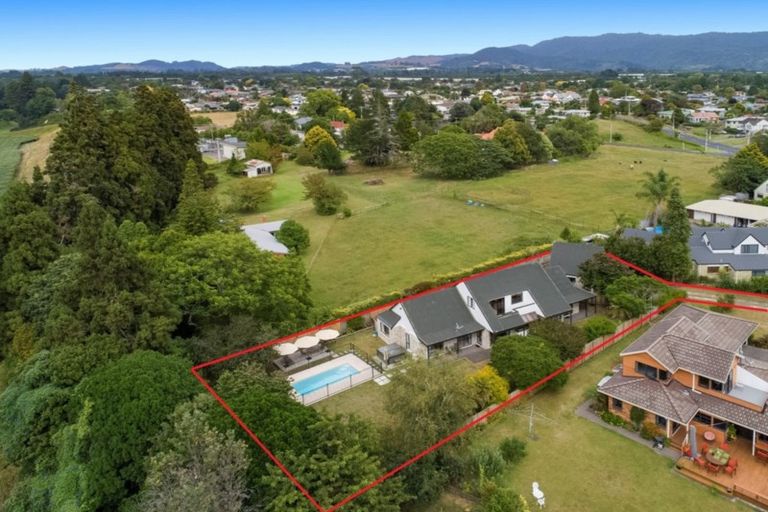 Photo of property in 19 Randell Place, Te Puke, 3119