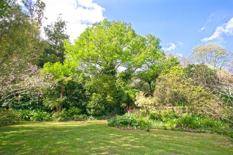 Photo of property in 195 Driving Creek Road, Coromandel, 3506