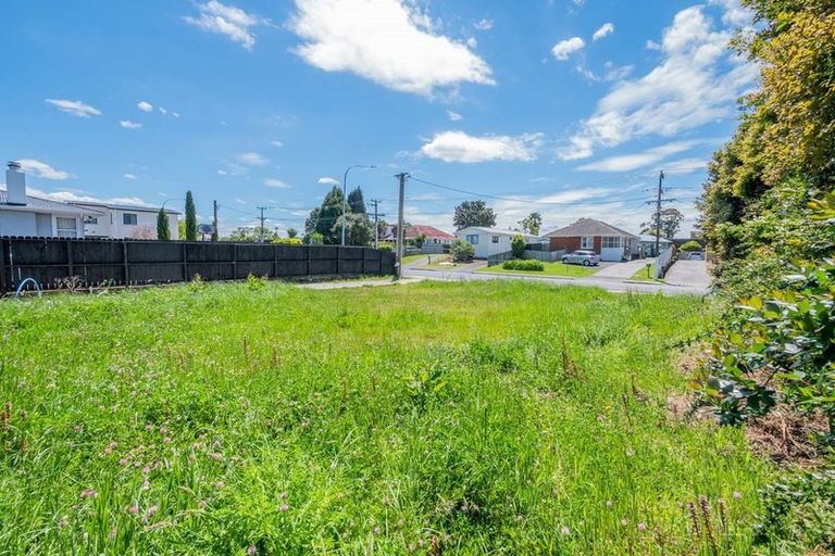 Photo of property in 9a Edwards Avenue, Henderson, Auckland, 0610