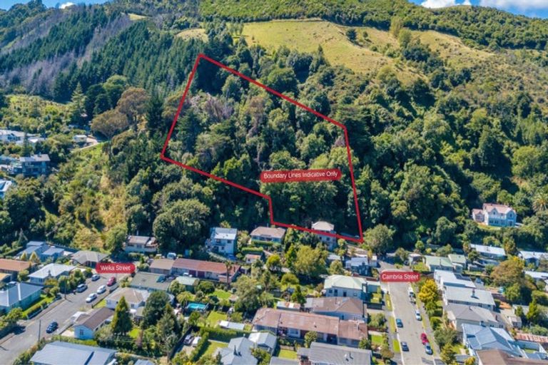 Photo of property in 101 Cambria Street, The Wood, Nelson, 7010