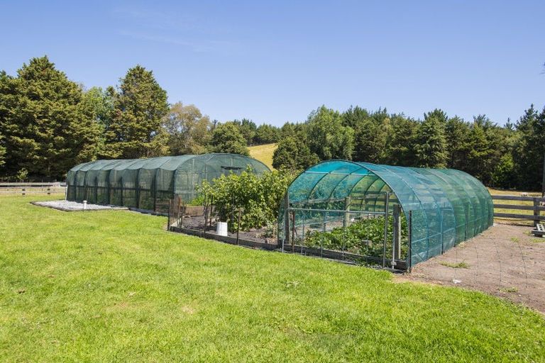 Photo of property in 909a Wharekopae Road, Ngatapa, Gisborne, 4072