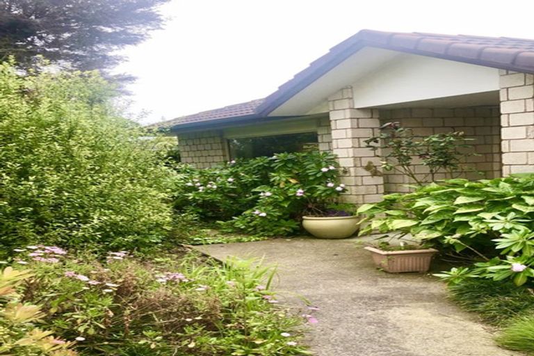 Photo of property in 30 Innisowen Place, Flat Bush, Auckland, 2019