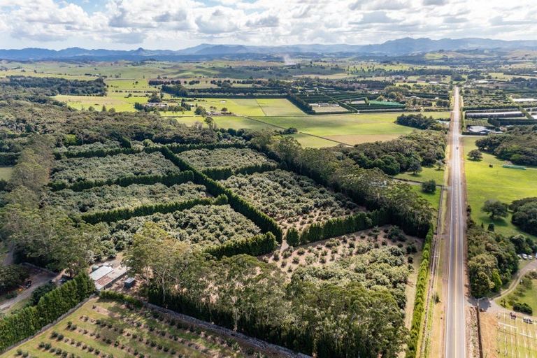 Photo of property in 485 Mangakahia Road, Maungatapere, Whangarei, 0179