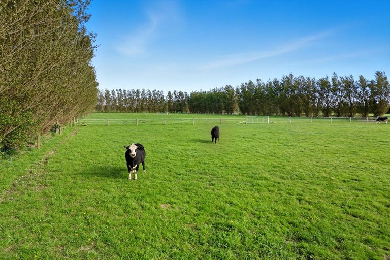 Photo of property in 247 Collins Road, Lincoln, Christchurch, 7674