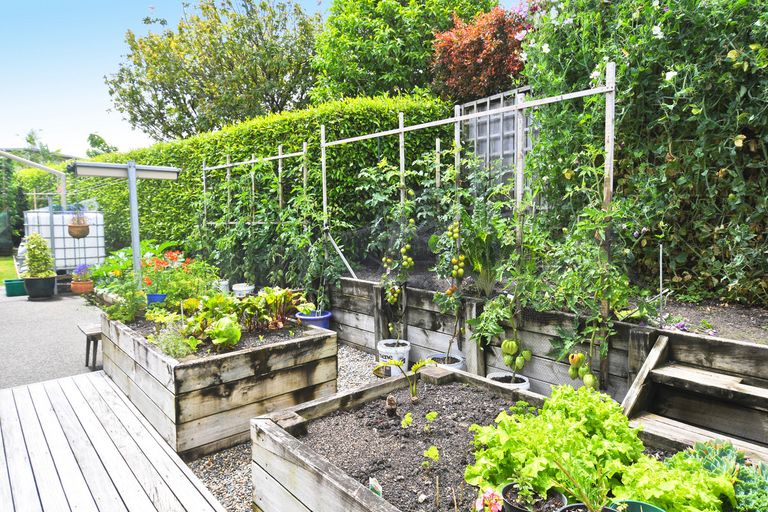 Photo of property in 26 Ashmore Crescent, Warkworth, 0910