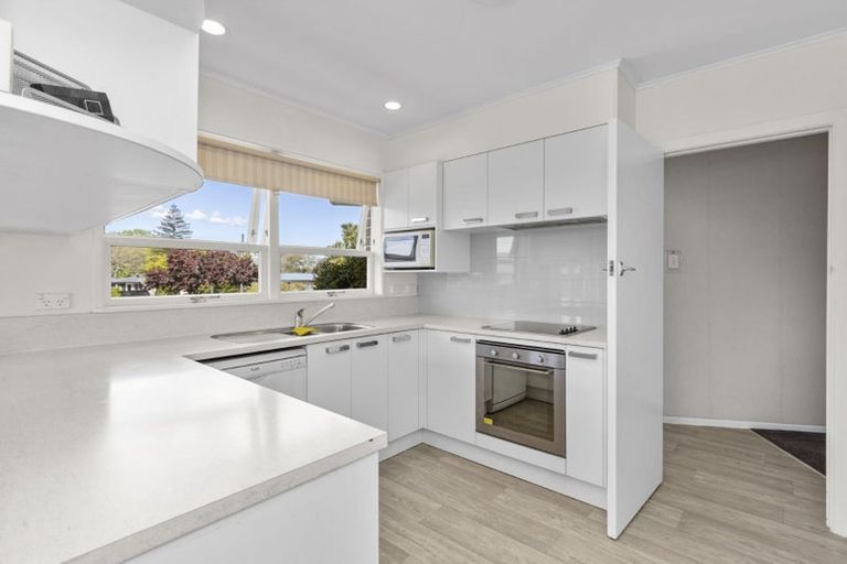 Photo of property in 19 Donny Avenue, Chartwell, Hamilton, 3210