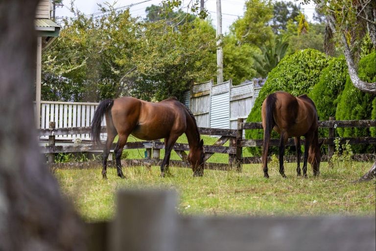 Photo of property in 93 Escott Road, Dairy Flat, Albany, 0794