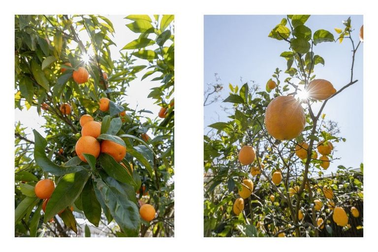 Photo of property in 8 Eleanor Place, Whakatane, 3120