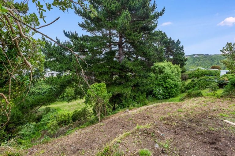 Photo of property in 12 Cornwall Crescent, Cannons Creek, Porirua, 5024