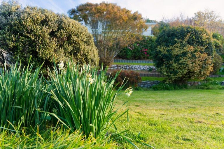 Photo of property in 282 Scarborough Street, Kaikoura, 7300