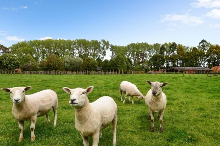 Photo of property in 25 Kew Place, Tamahere, Hamilton, 3283