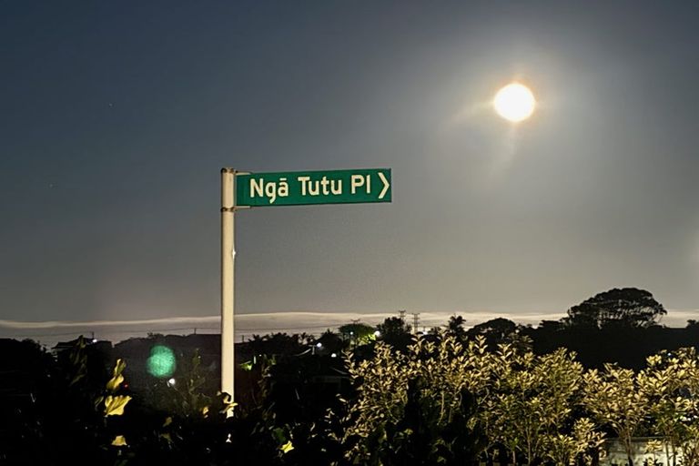 Photo of property in 2 Nga Tutu Place, Belmont, Auckland, 0622