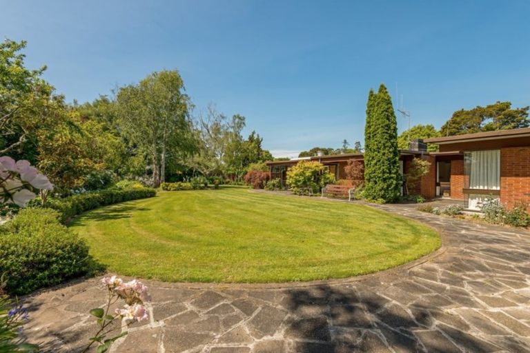 Photo of property in 15 Milne Street, Marton, 4710