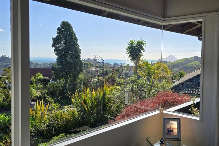 Photo of property in 41 Melville Drive, Whakatane, 3120