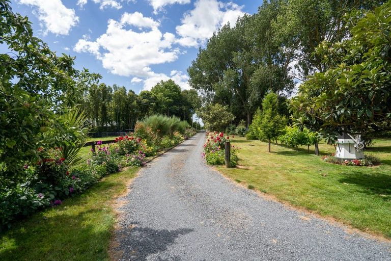 Photo of property in 4/193 Racecourse Road, Cambridge, 3493