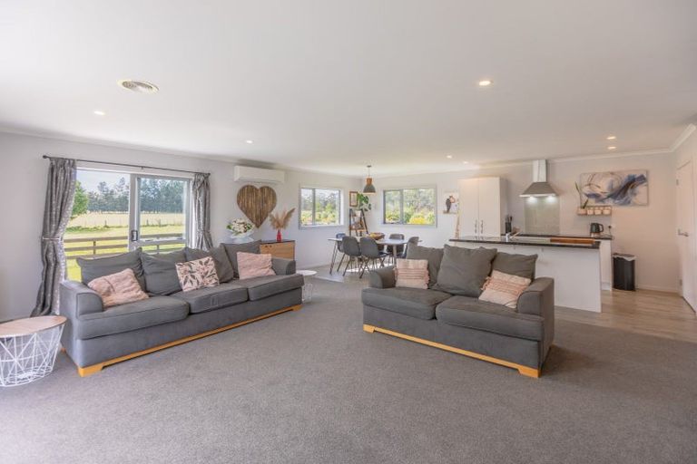 Photo of property in 19 Blundell Avenue, Waipukurau, 4200