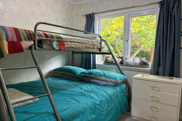 Photo of property in 245a Scotland Street, Roxburgh, 9500