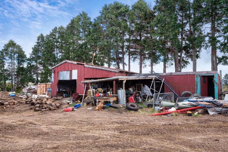 Photo of property in 78 Turner Road, Whakamarama, 3181