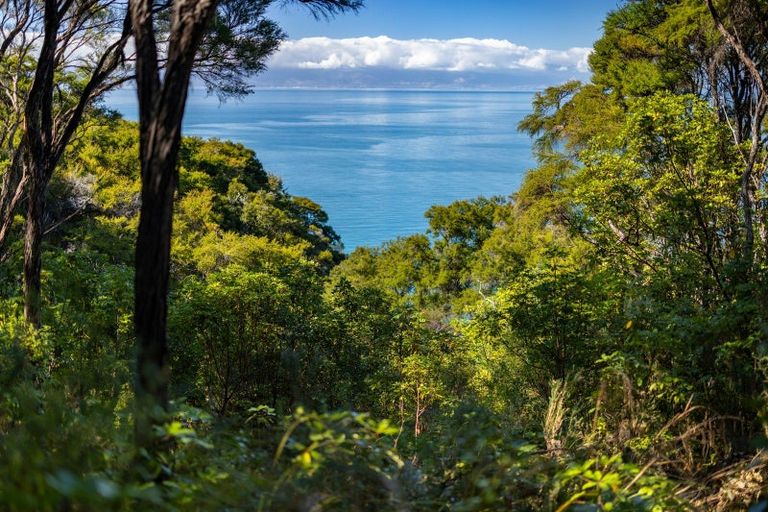 Photo of property in 180 Tokongawa Drive, Kaiteriteri, Motueka, 7197