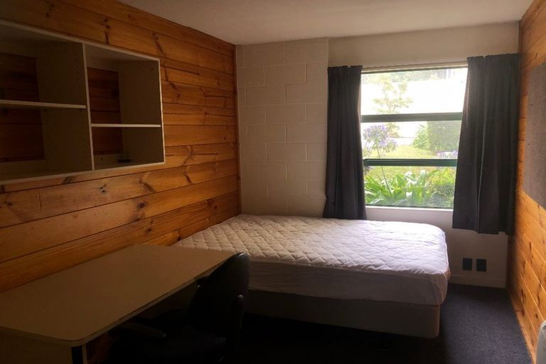 Photo of property in Te Awhina Apartments, 18/22u Sussex Street, Mount Cook, Wellington, 6021