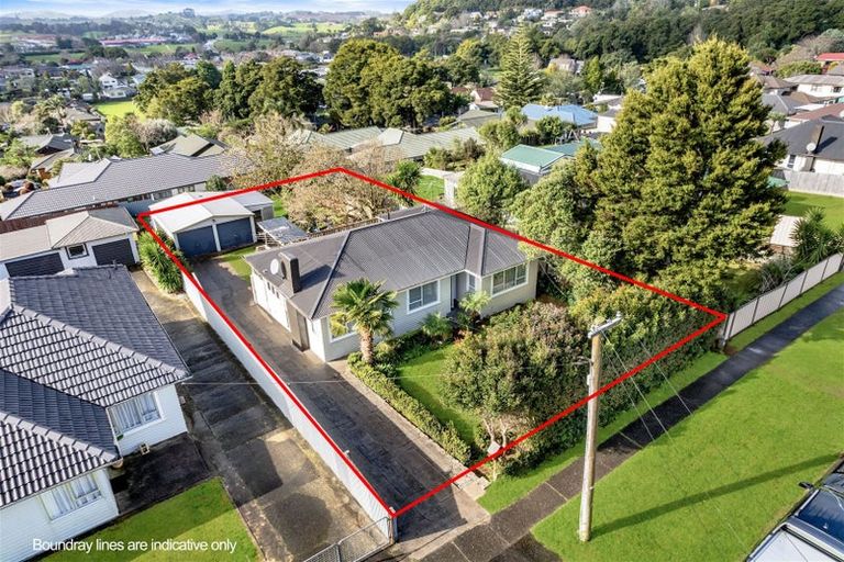 Photo of property in 29 Prospect Terrace, Pukekohe, 2120