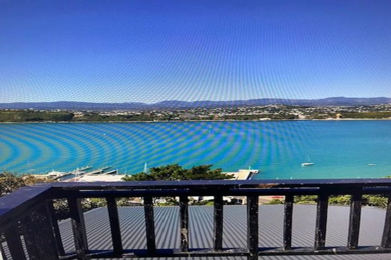 Photo of property in 55 Overtoun Terrace, Hataitai, Wellington, 6021