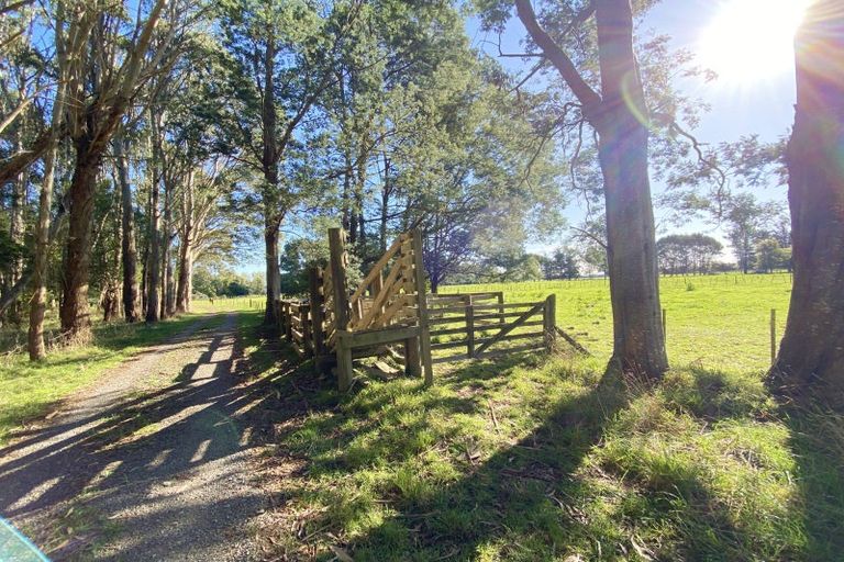 Photo of property in 258a Gladstone Road, Levin, 5571