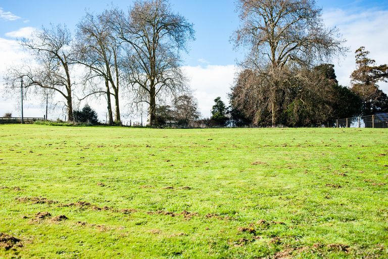 Photo of property in 300 Puahue Road, Te Awamutu, Cambridge, 3879