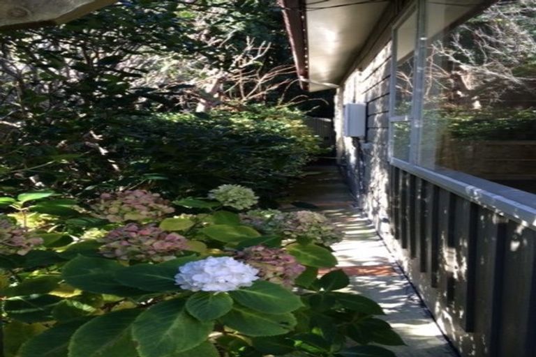 Photo of property in 24a Oban Street, Wadestown, Wellington, 6012