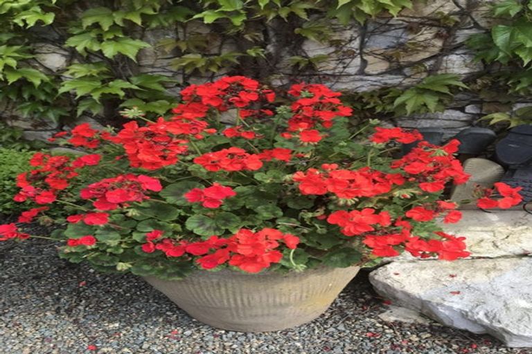 Photo of property in 73 Valerie Close, Warkworth, 0983