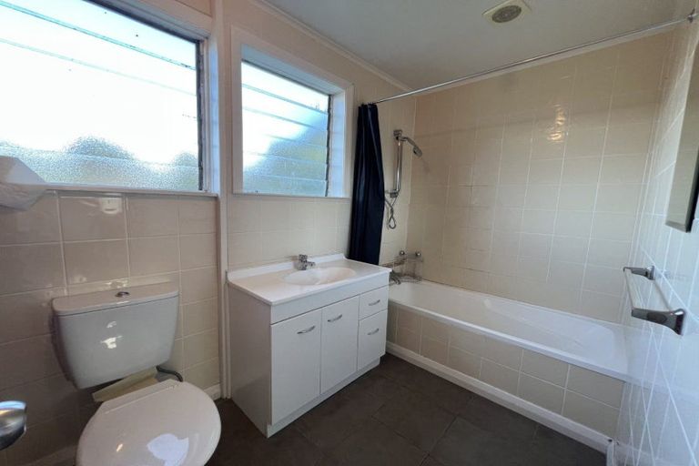 Photo of property in 111 Limbrick Street, Terrace End, Palmerston North, 4410