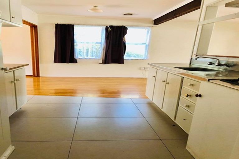 Photo of property in 52 Larnoch Road, Henderson, Auckland, 0610