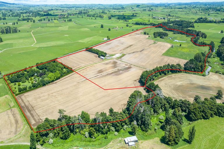 Photo of property in 314 Campbell Road, Richmond Downs, Walton, 3475