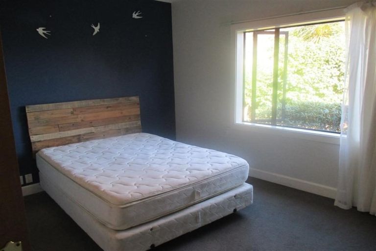 Photo of property in 53 Ngaio Street, Saint Martins, Christchurch, 8022